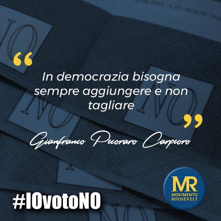 Carpe IOvotoNO 17079